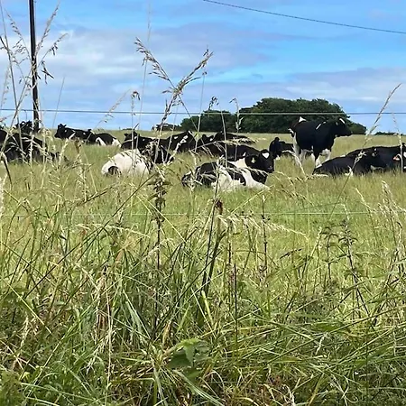 Harbour View Cottage, Rochespoint, Cork Harbour Prázdninový dům Midleton