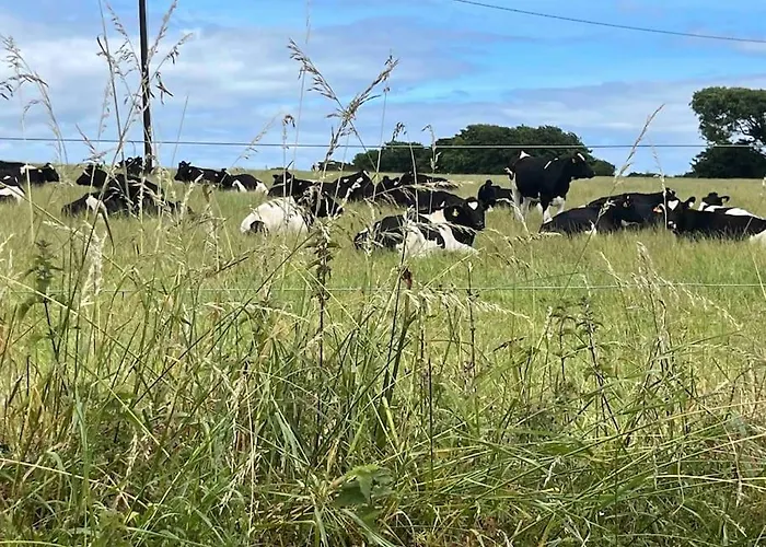 Harbour View Cottage, Rochespoint, Cork Harbour Prázdninový dům Midleton